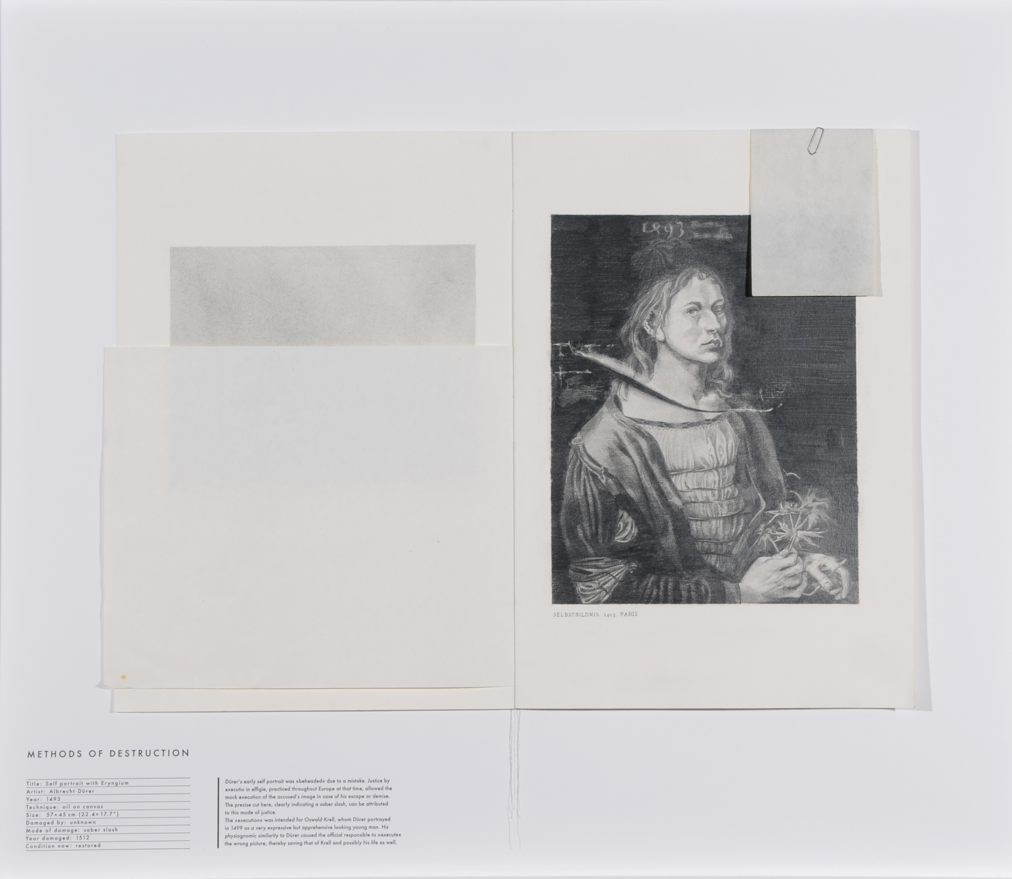 Jana Gunstheimer, Selfportrait with Eryngium, from "Methods of Destruction"