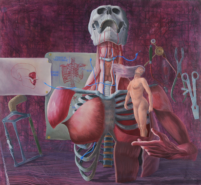 The Anatomy Laboratory