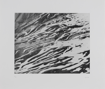 Diptych. Terrenzlas 1-2