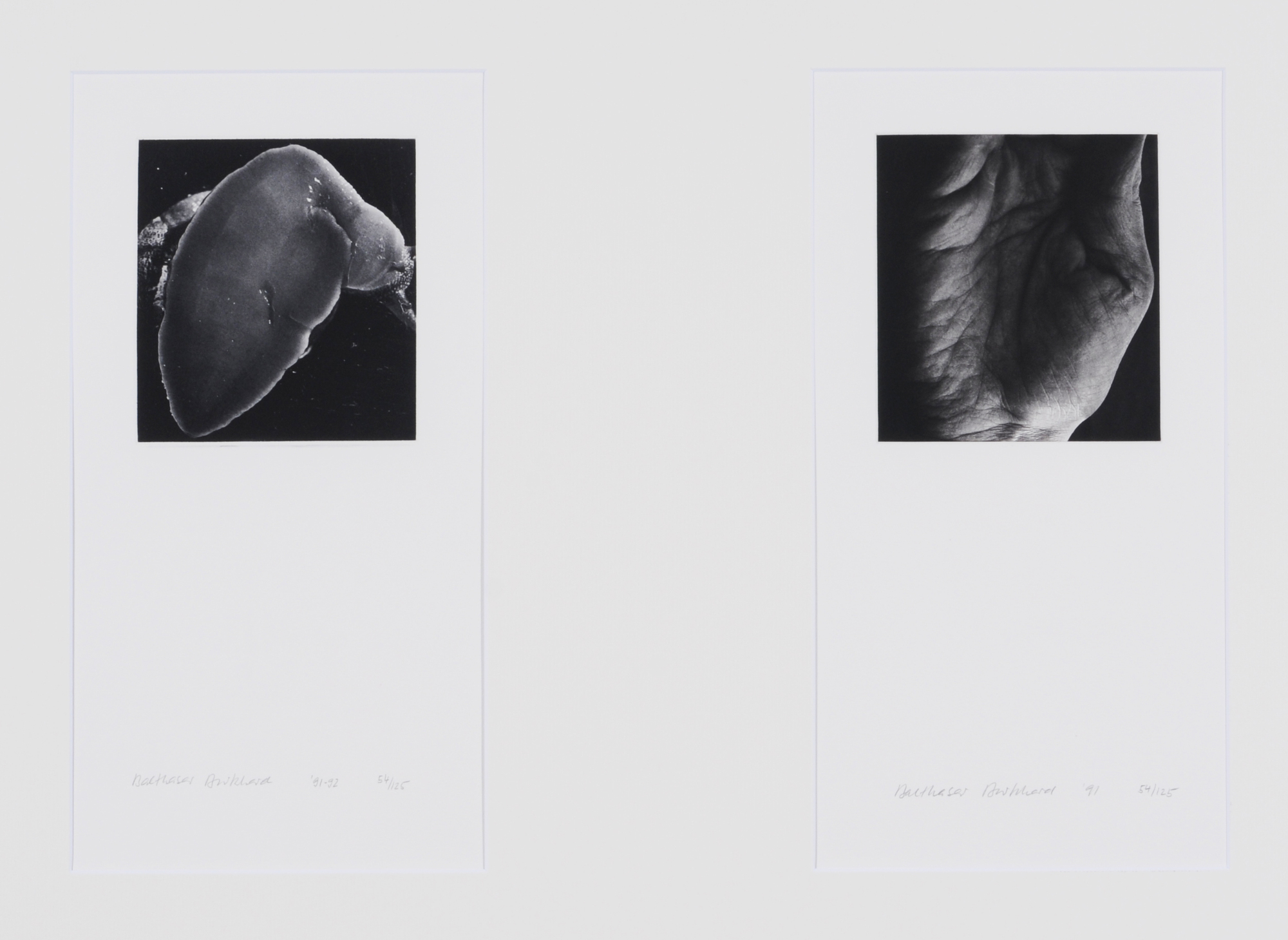 Balthasar Burkhard, 2 Works: Hand