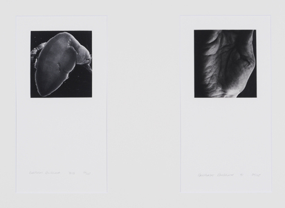 2 Works: Hand