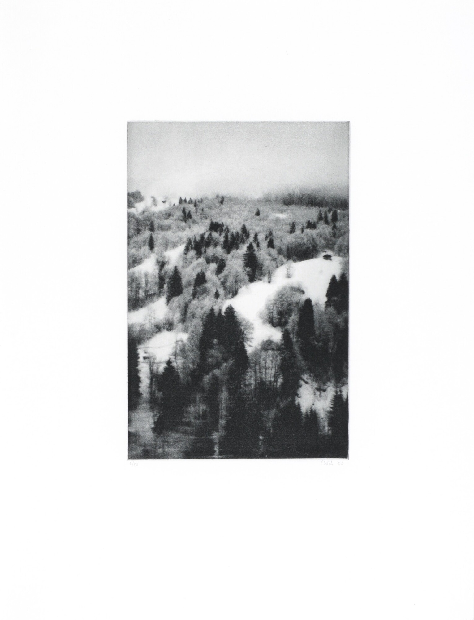 Cécile Wick, 3 Sheets: Wald I - III