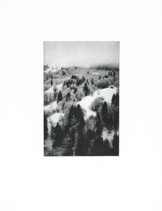 3 Blätter: Wald I - III