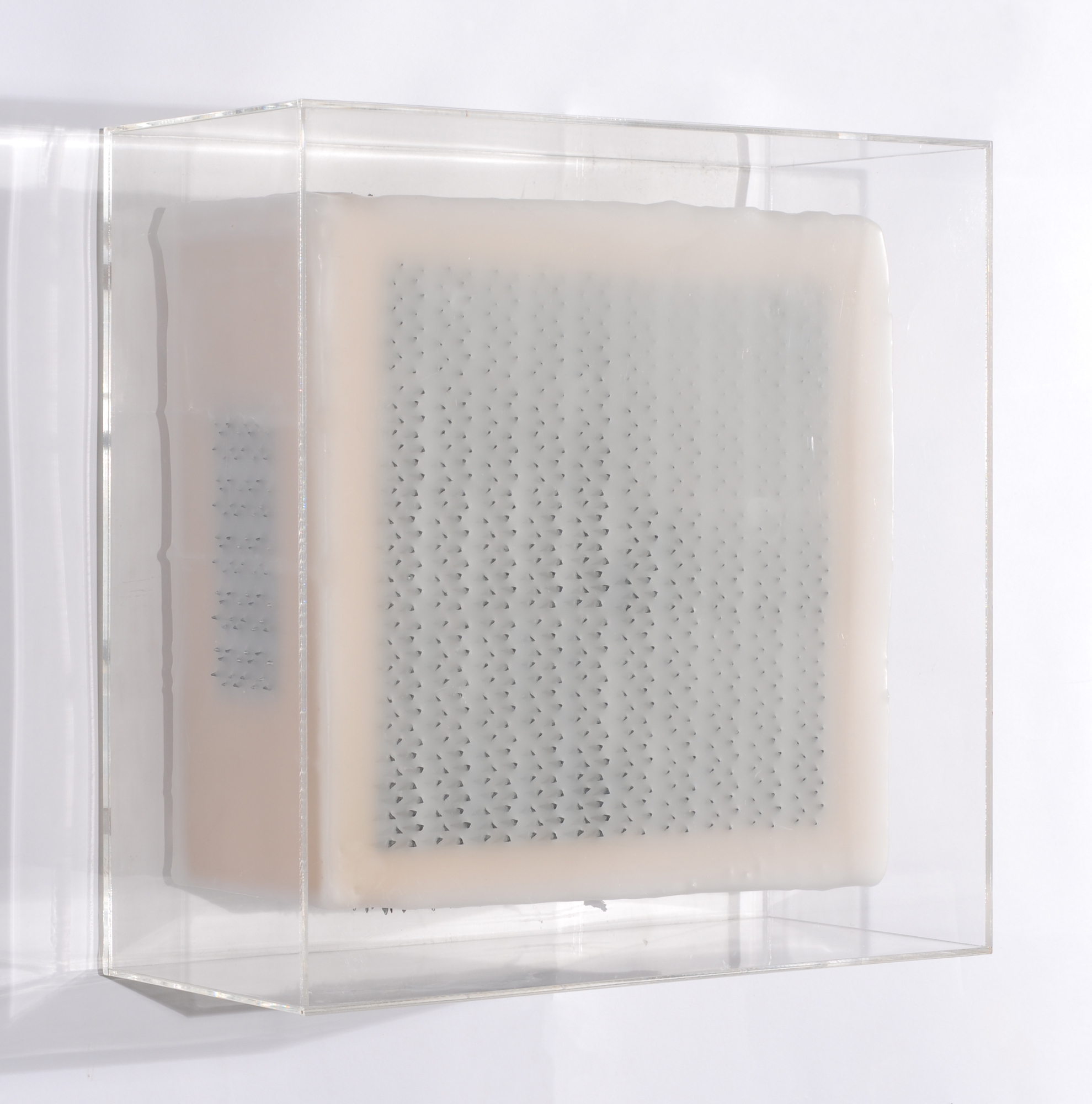 Anton Fuchs, 2 Wall Objects: Untitled (Wax Still)