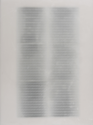 Untitled (Wax Still)