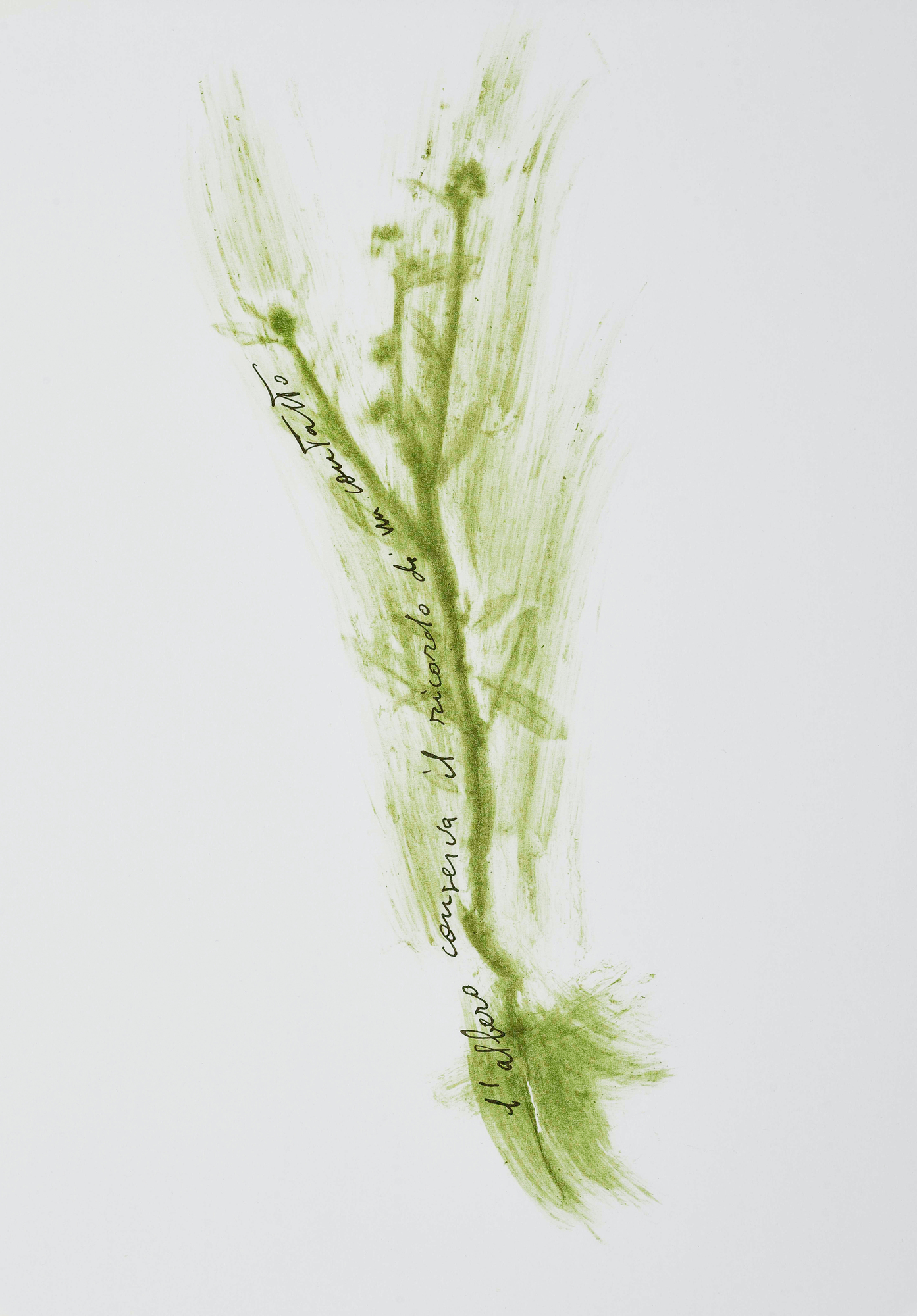 Giuseppe Penone, Portfolio. Trentatre Erbe