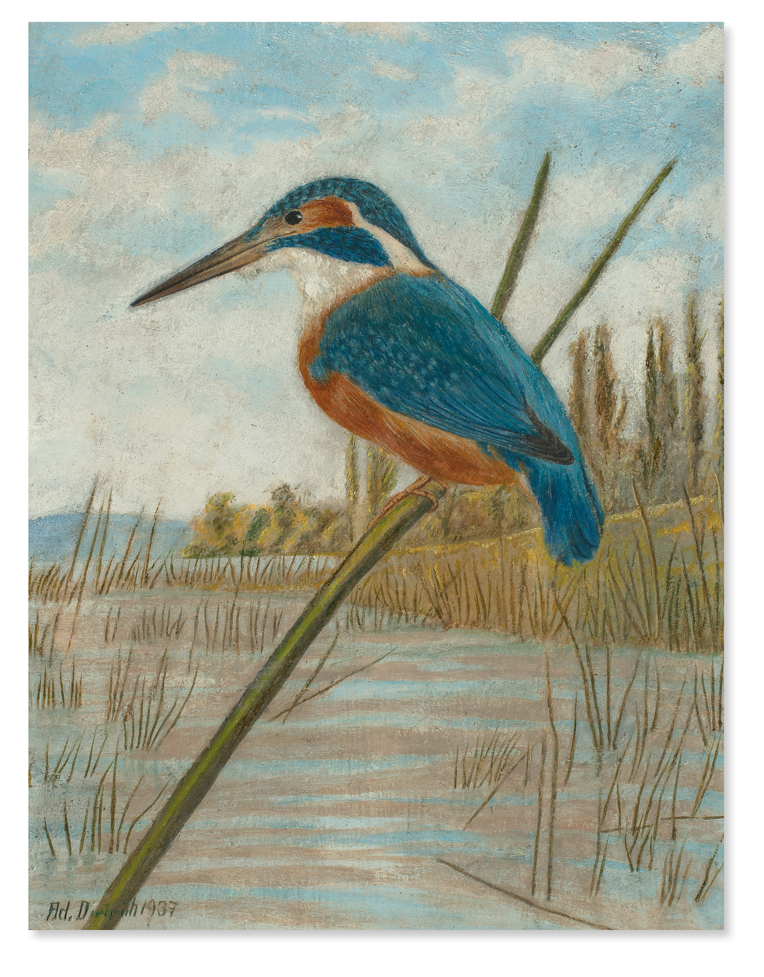 Adolf Dietrich, Eisvogel am Seeufer auf einem Ast (Kingfisher on a Branch at the Lake Shore)