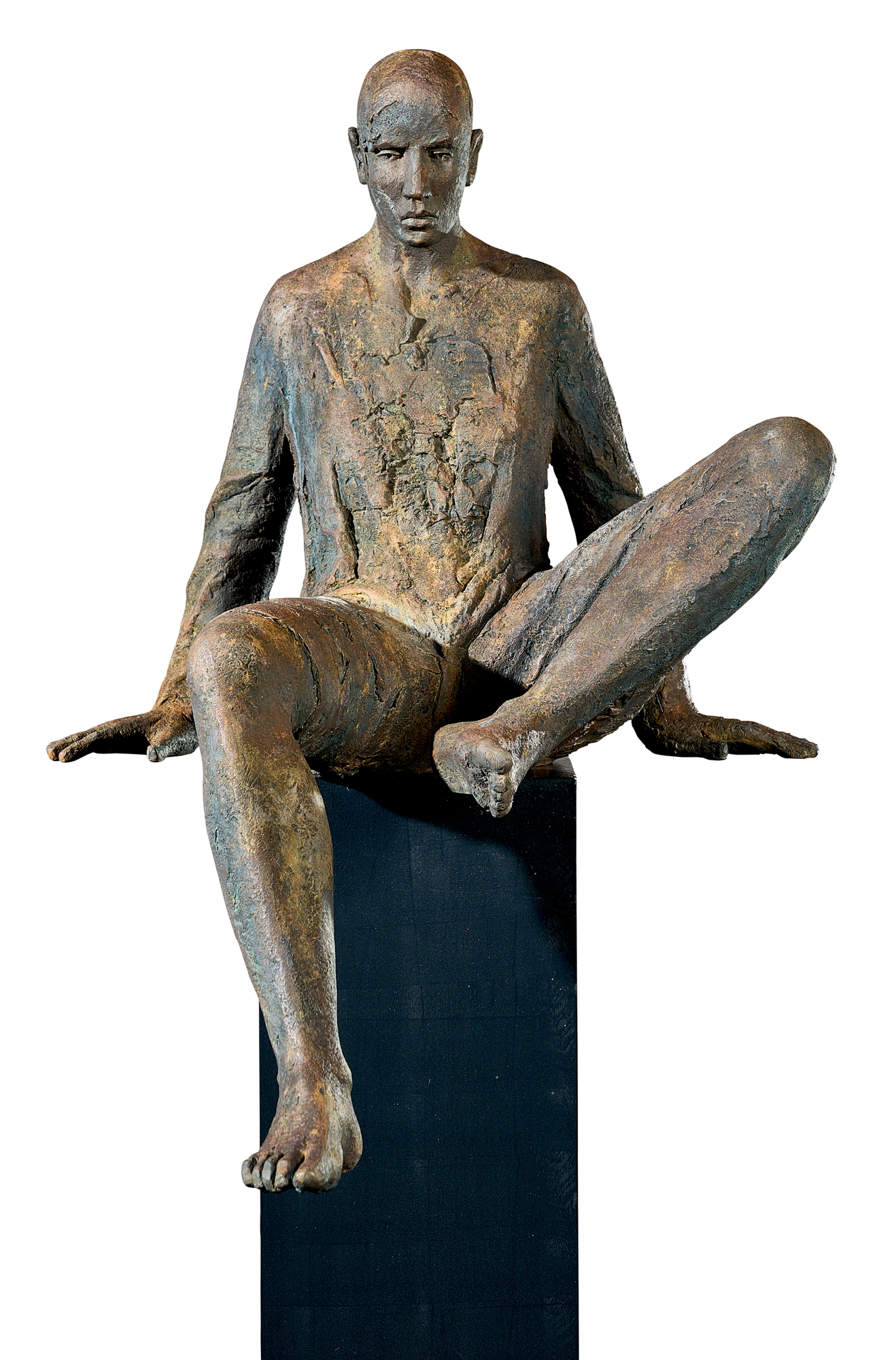 Hanneke Beaumont, Homme assis (Seated Man)