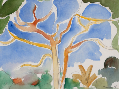 Baum in der Sonne (Tree in the Sun)