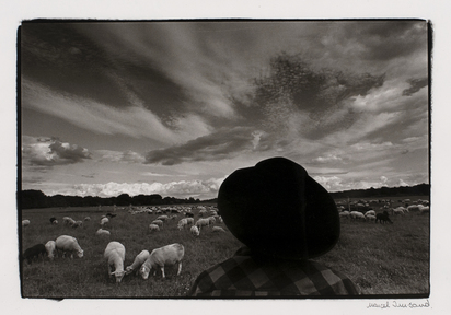 Sans titre (Untitled)