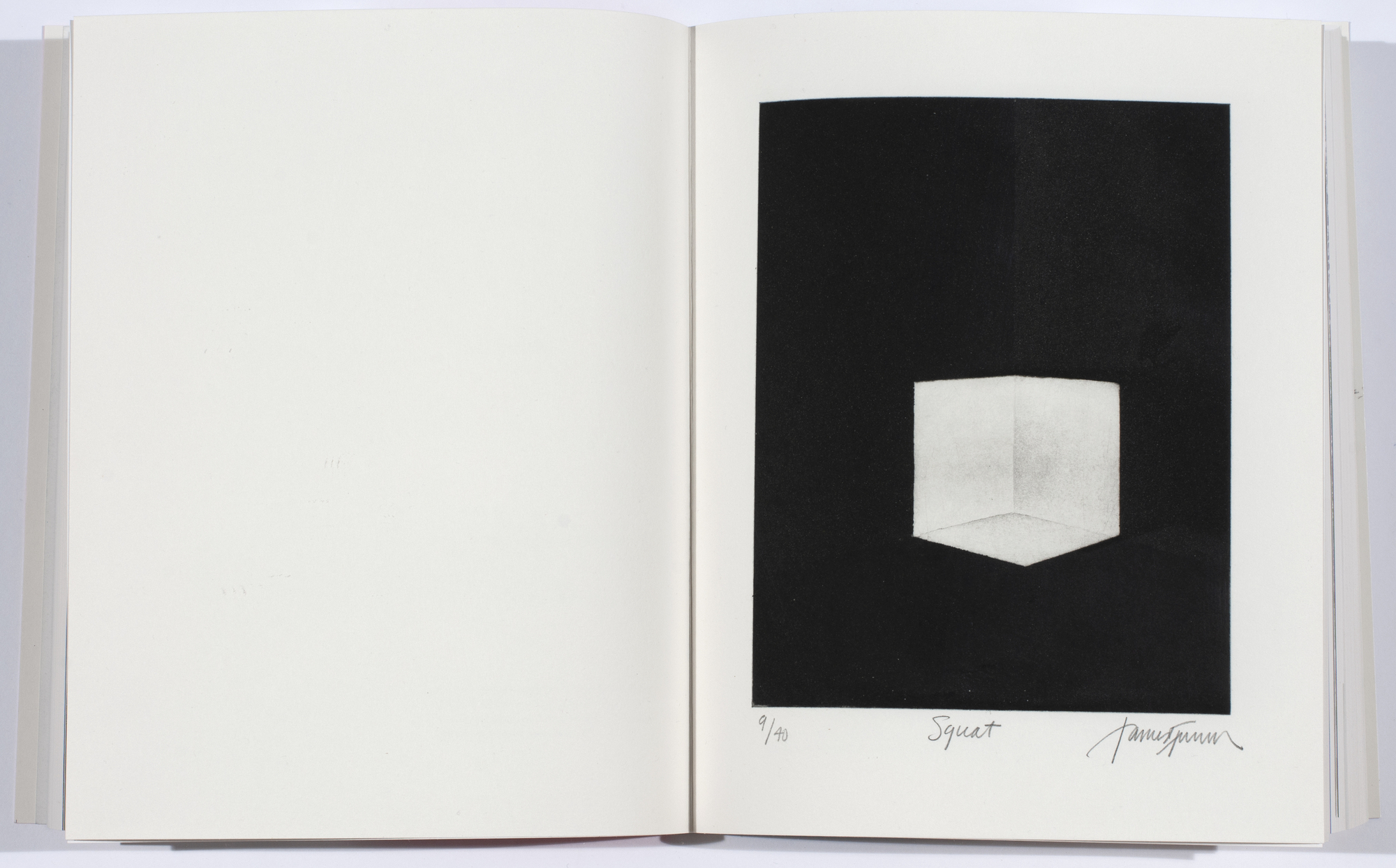 James Turrell, Squat (for Parkett 25)