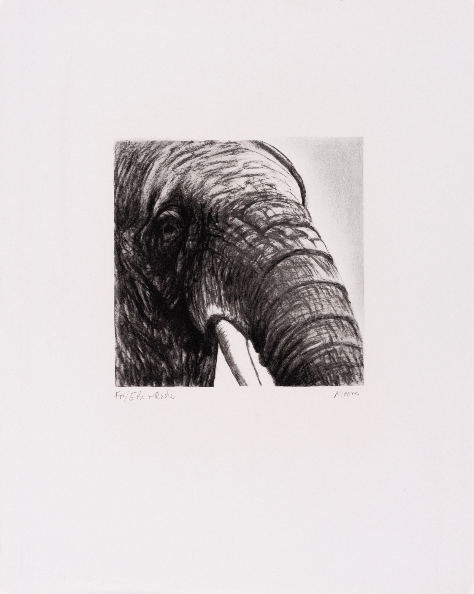 Henry Moore, Elephant's Head