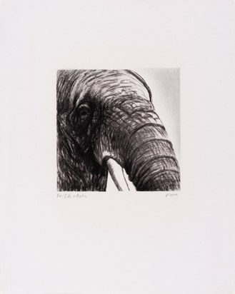 Elephant's Head
