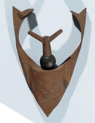Hirsch (Cervine)