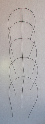 Frontal Form