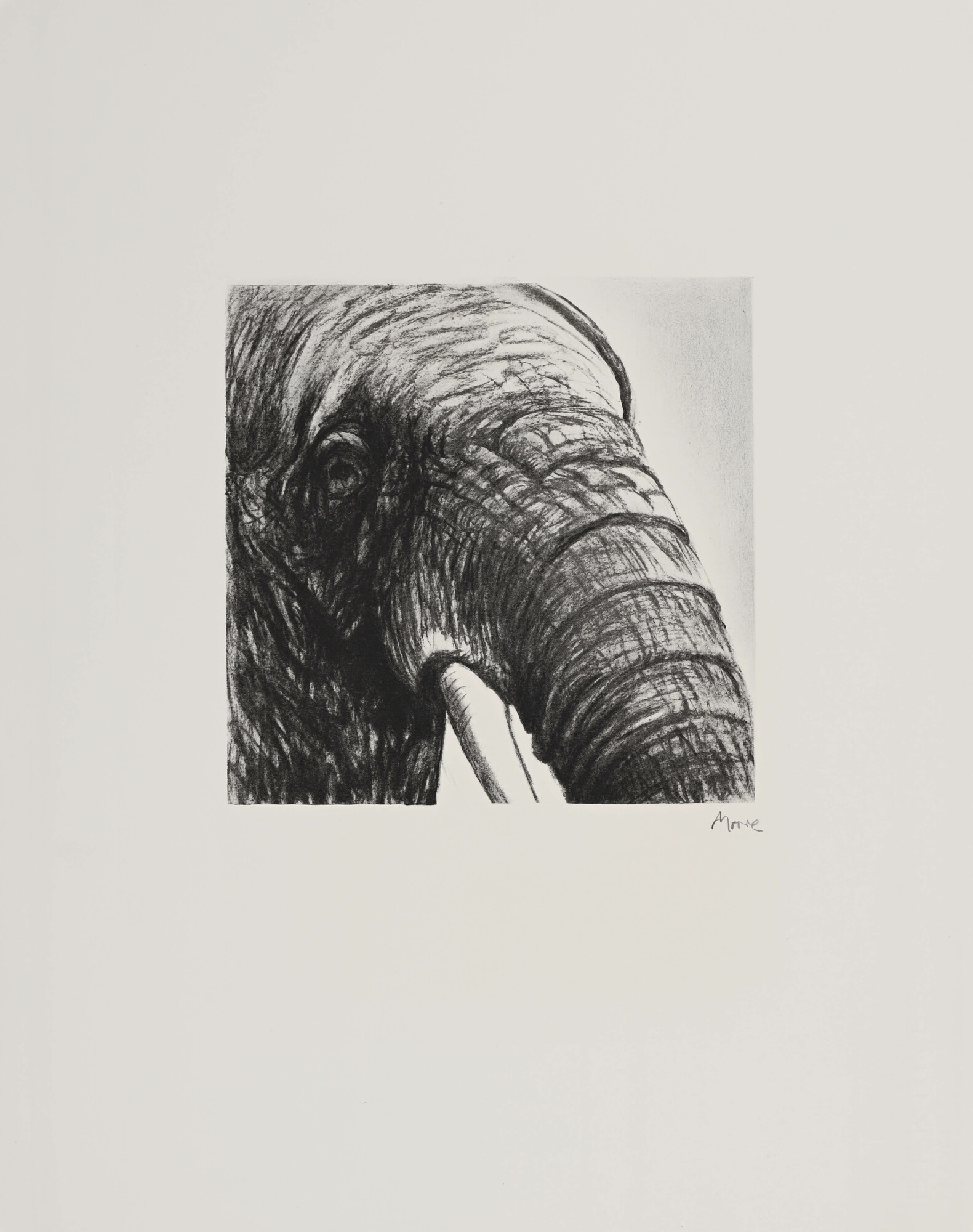 Henry Moore, Elephant's Head II