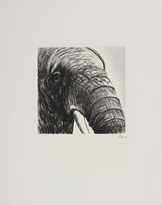 Elephant's Head II