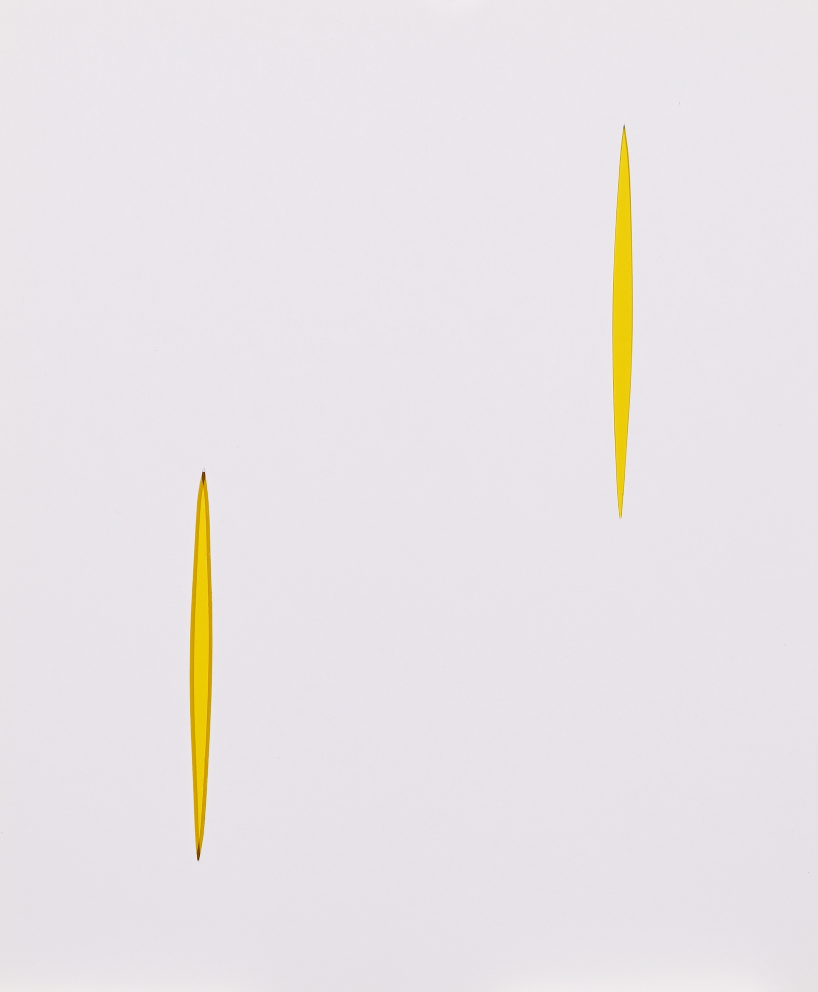 Portfolio, 3 Portfolios: L. Fontana, Manifesto Blanco Arte Spaziale Movimento Tele-visivo, 1965; Xanti Schawinsky, La Fotografia Dal Bauhaus Al Black Mountain; Gérard Schneider, Estratti Critica, Poesie, 1978