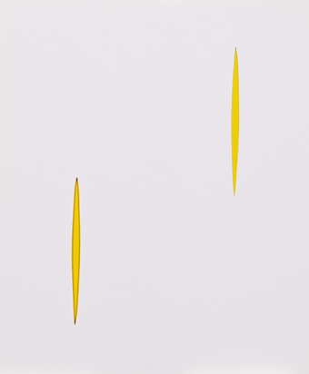3 Portfolios: L. Fontana, Manifesto Blanco Arte Spaziale Movimento Tele-visivo, 1965; Xanti Schawinsky, La Fotografia Dal Bauhaus Al Black Mountain; Gérard Schneider, Estratti Critica, Poesie, 1978