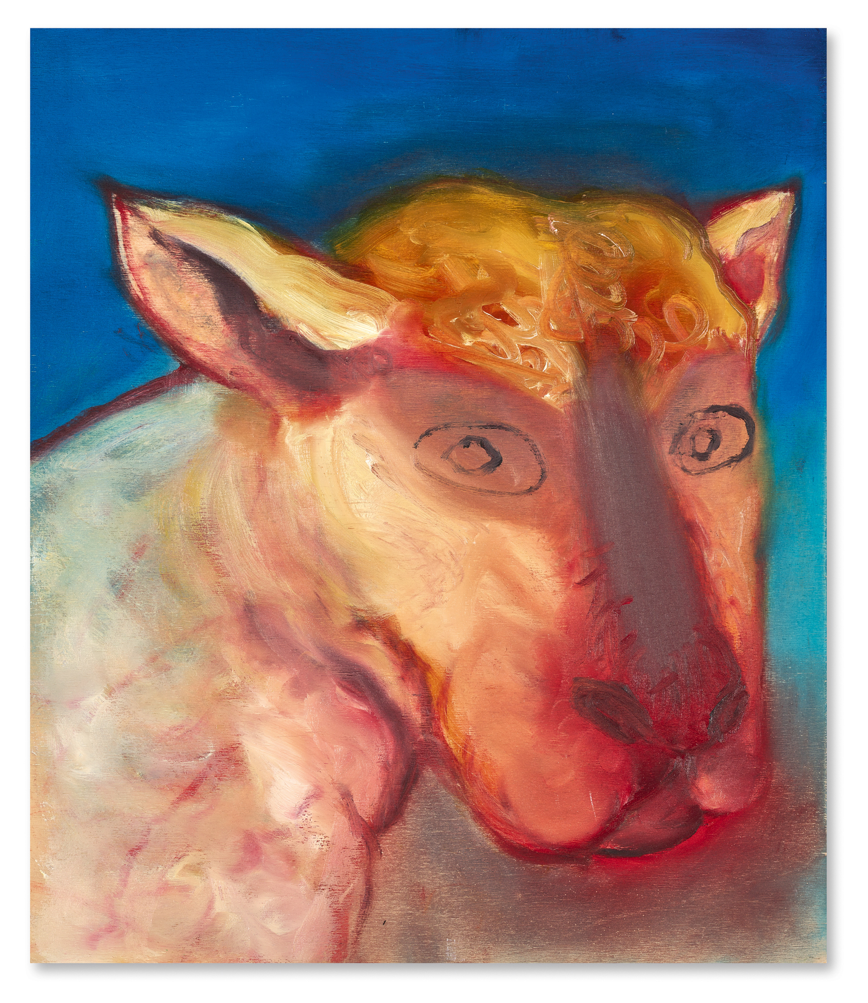 Miriam Cahn, Was mich anschaut