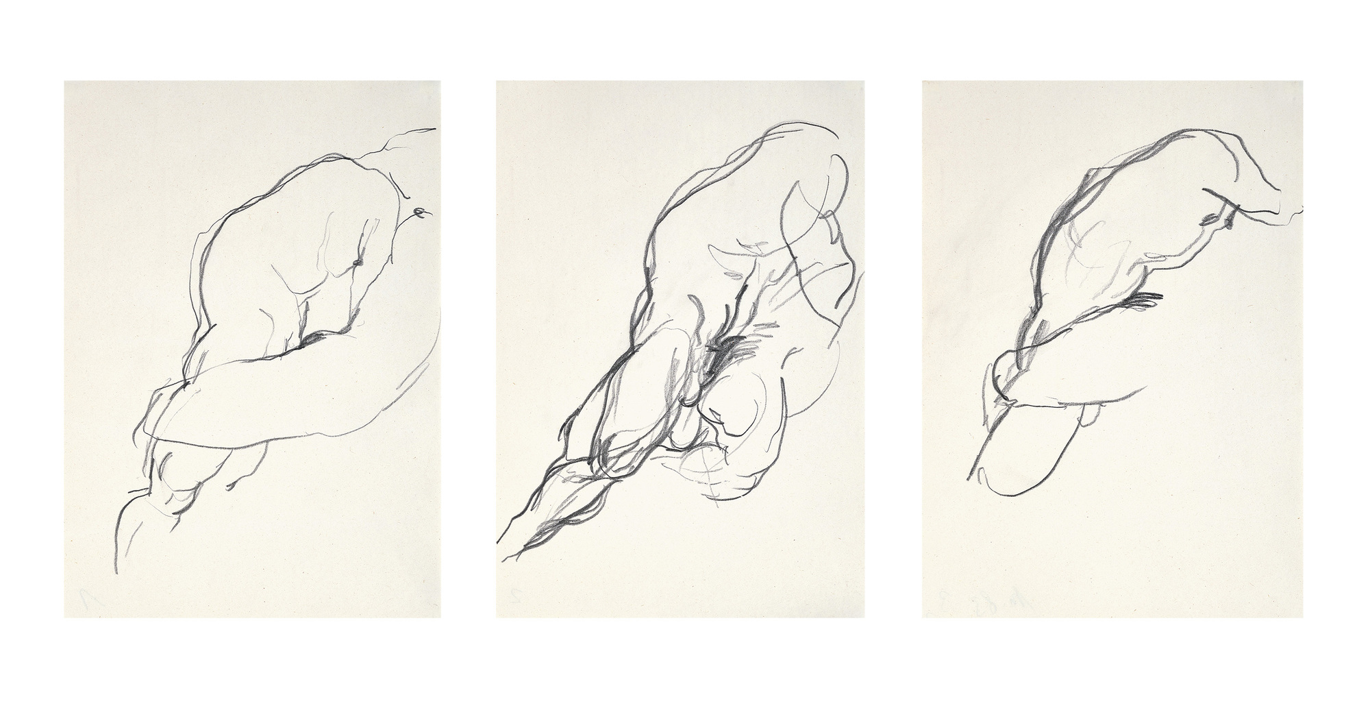 Miriam Cahn, Triptychon. Ohne Titel