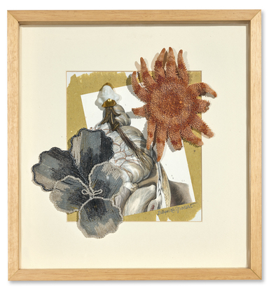 Collage aus der Serie "La médicine opératoire dessinée d'après nature par N.H. Jacob"