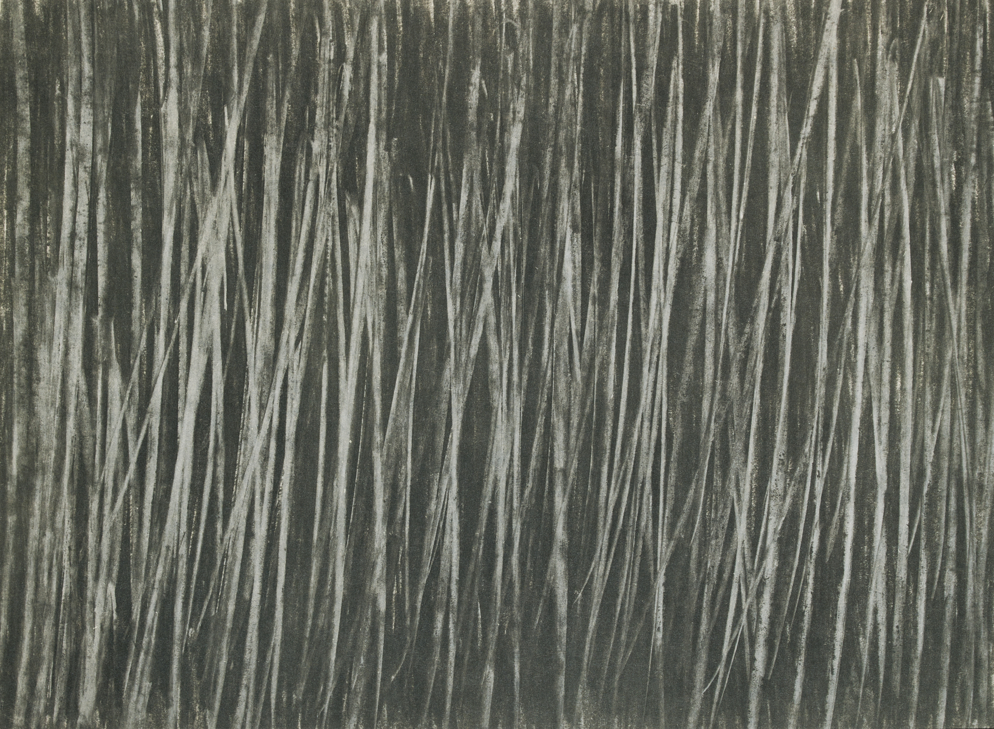 Cy Twombly, Untitled
