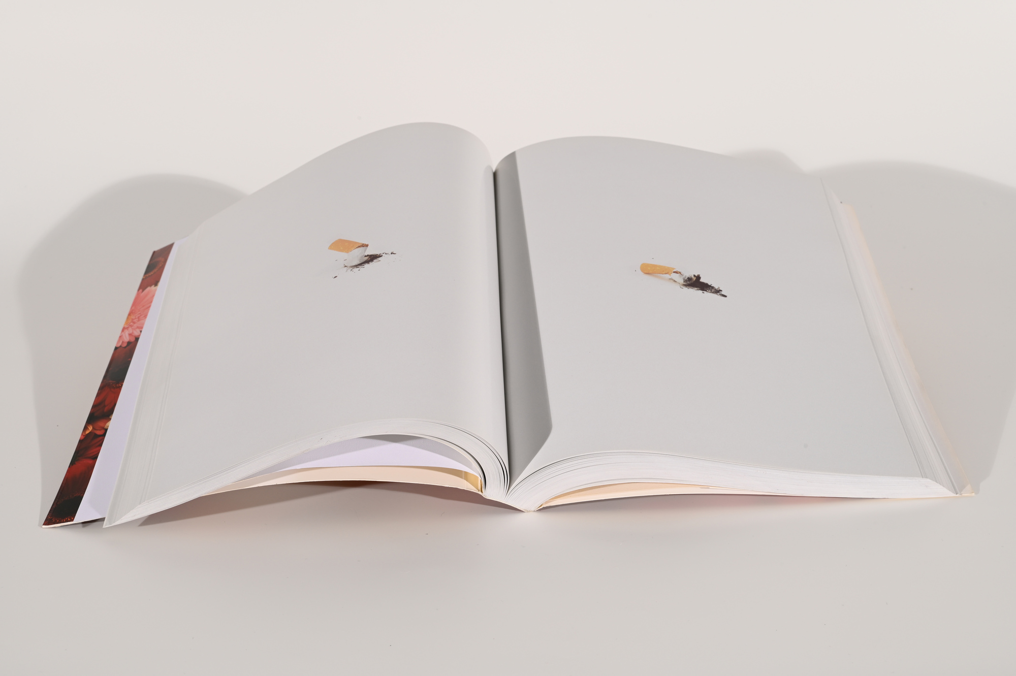 Damien Hirst, Book. The Beautiful Afterlife