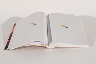 Buch. The Beautiful Afterlife