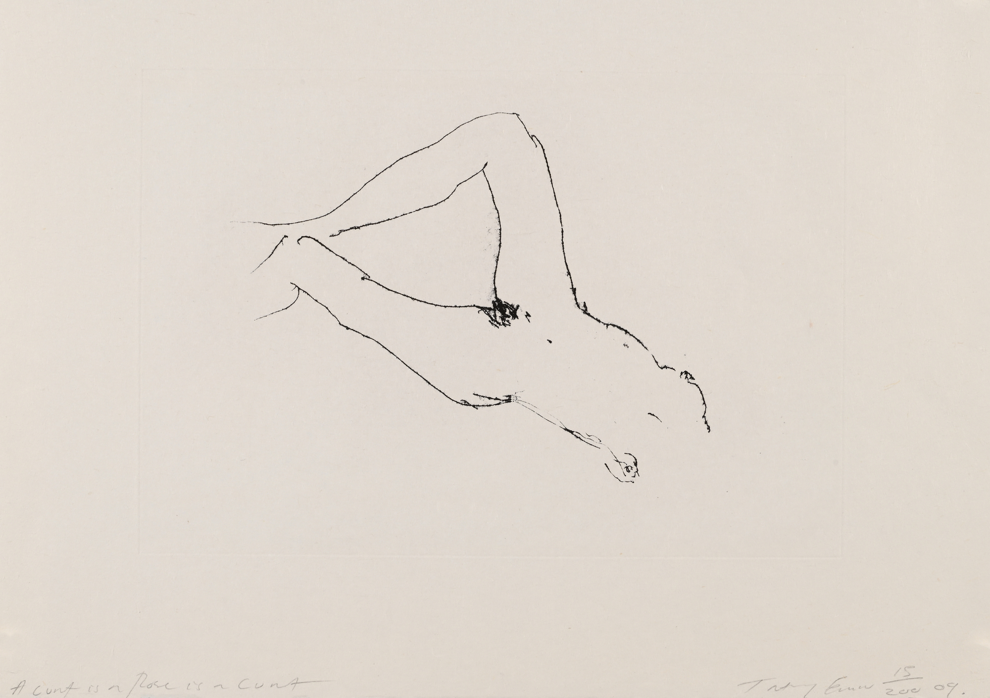 Tracey Emin, A Cunt is a Rose is a Cunt