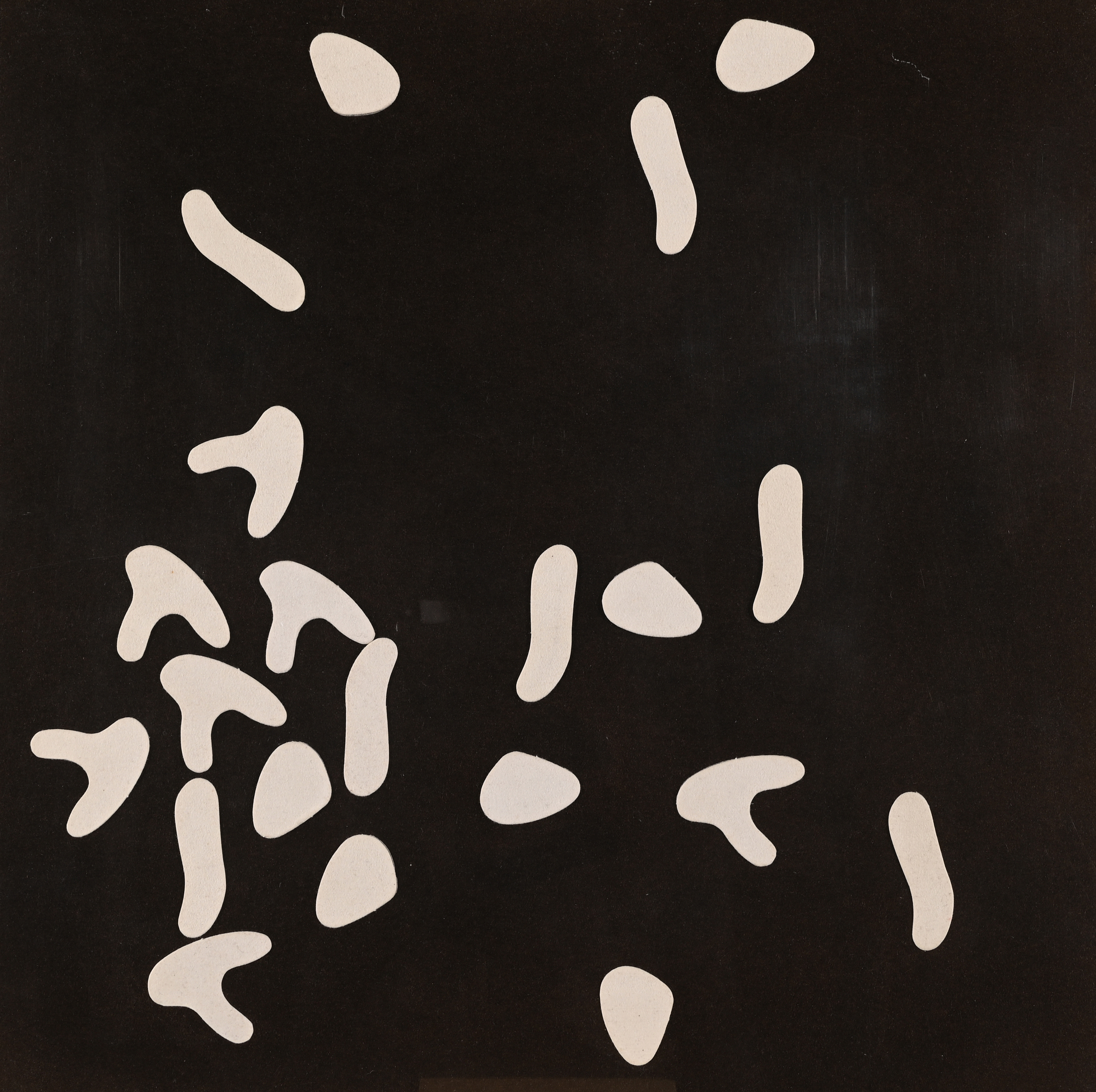 Hans Arp, Variables Bild