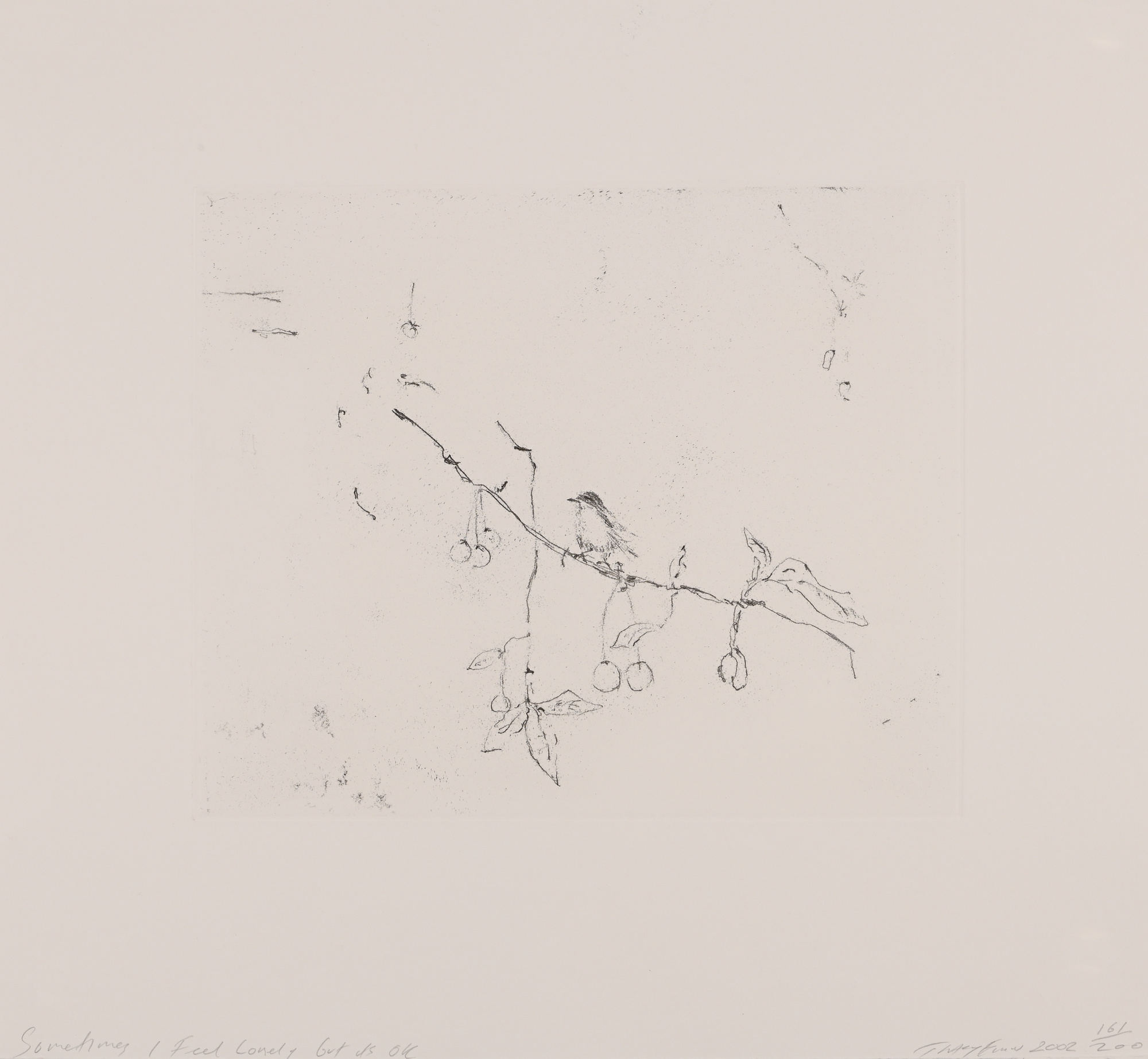 Tracey Emin, Sometimes I Feel Lonely, but it's OK