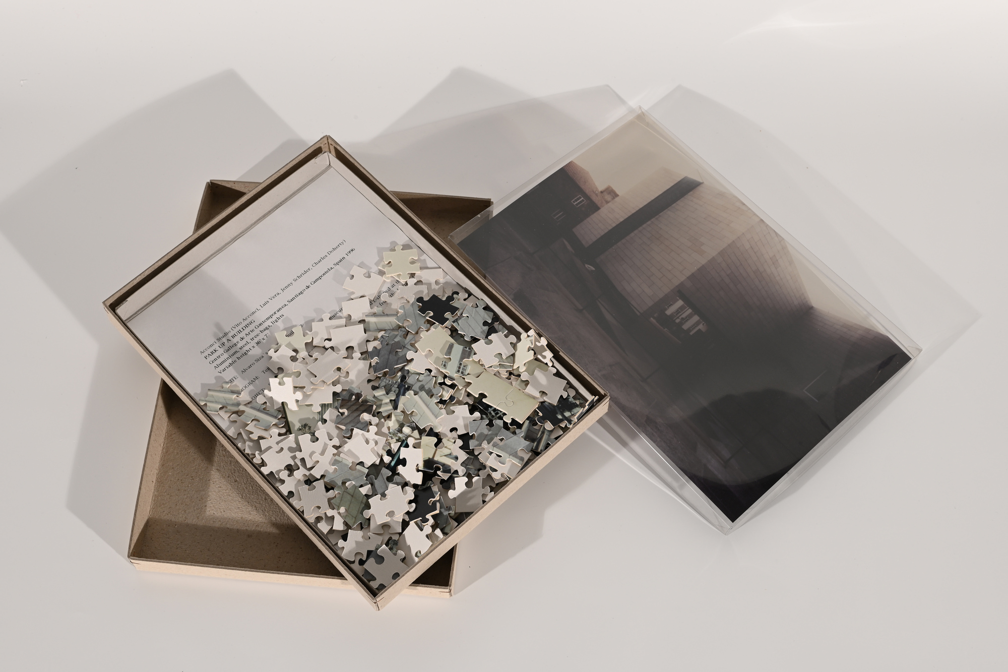 Vito Acconci, Park up a Building/House up a Building