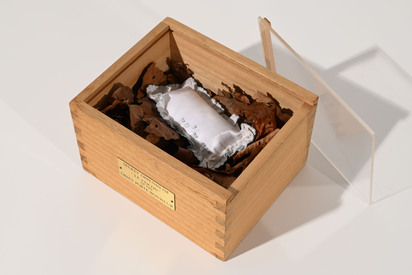 Le cocon (il vit), Objet-porte-bonheur