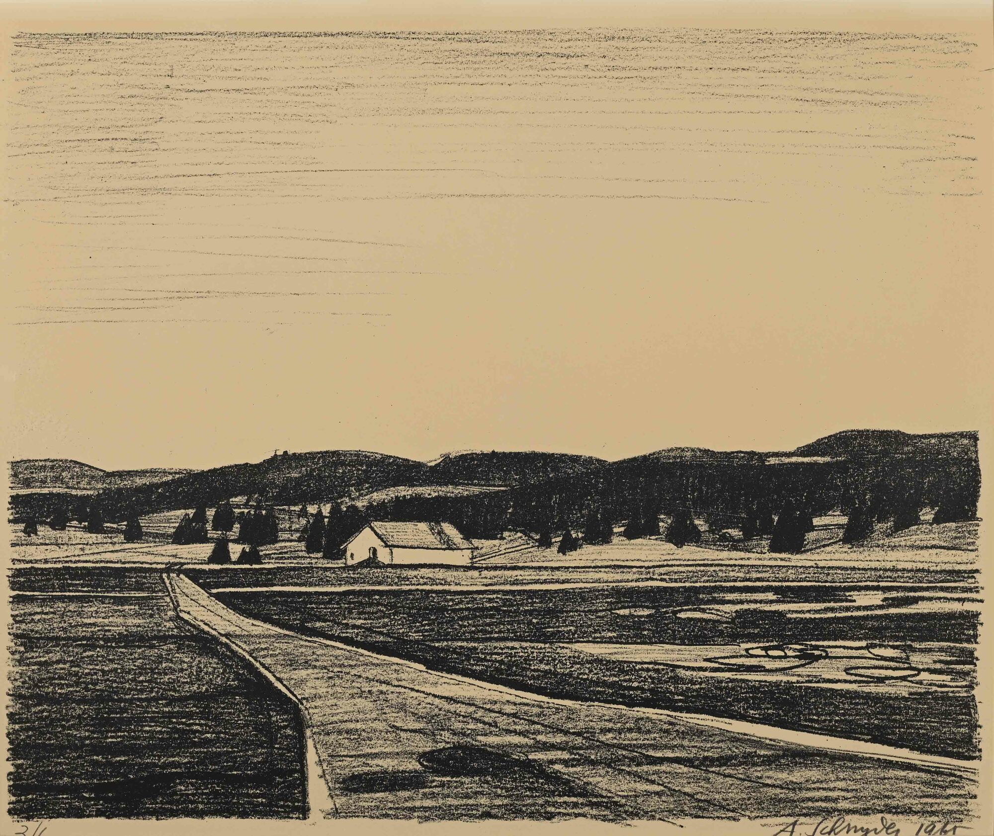 Albert Schnyder, 2 sheets: Untitled, 1965; Untitled, 1946