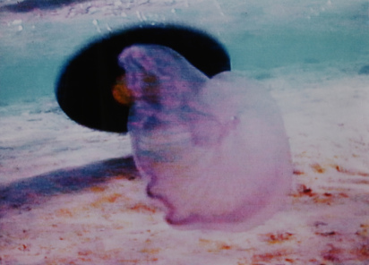 Videostill. Untitled