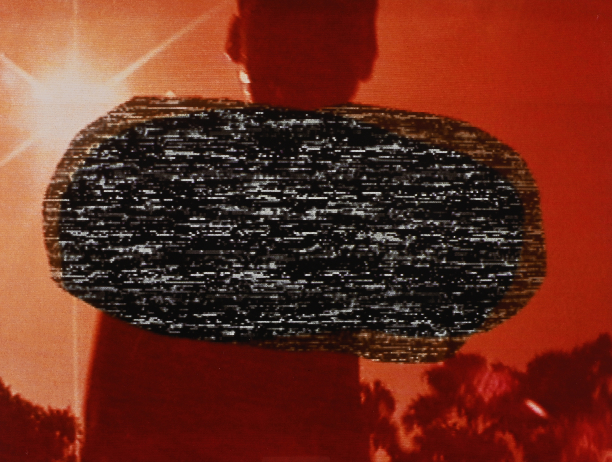Pipilotti Rist, 2 works: Das Immunsystem, 1999; We were taught..., 2002