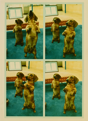 Stanley + Heinz, L.A.