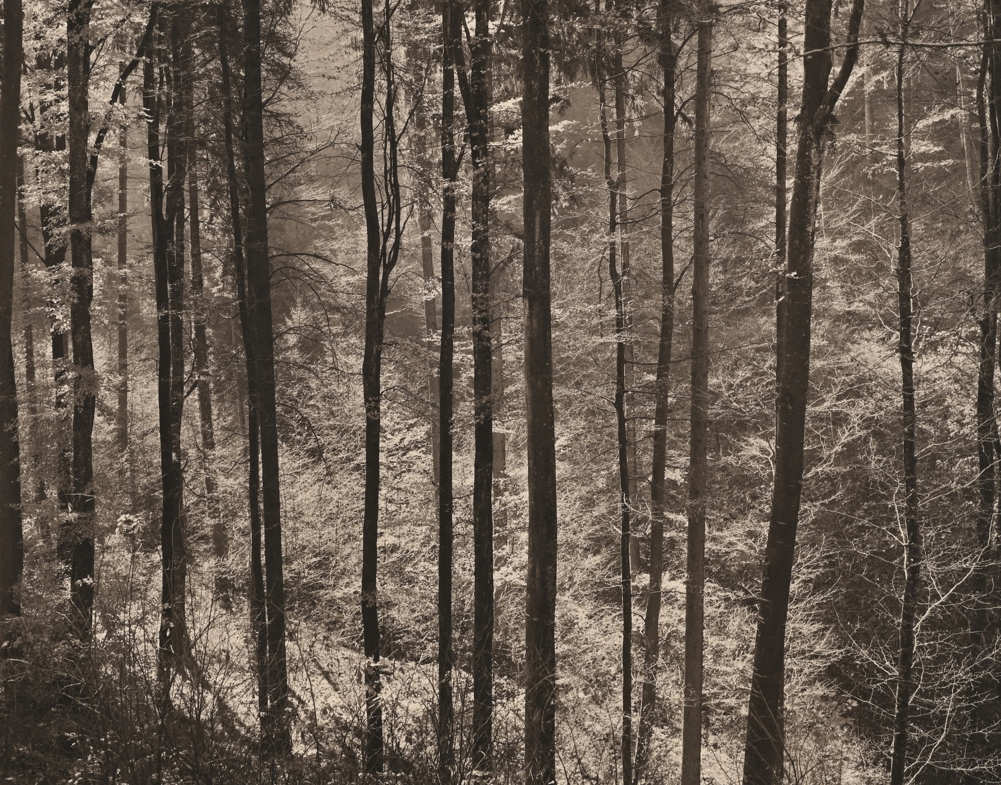 Jean-Paul Rohner, Innerberg