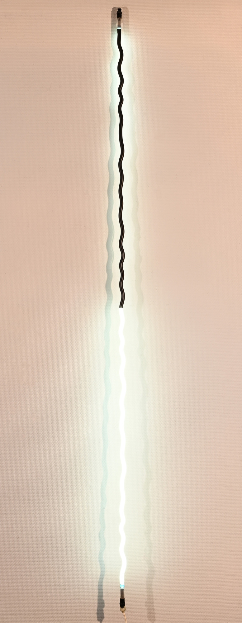 Jan van Munster, Brainwave