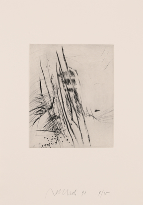 Portfolio. Sechs seismographische Aufzeichnungen
