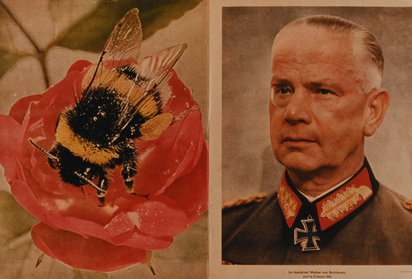 6 Werke: Michel Majerus, Christian Boltanski (3), Rodney Graham, Thomas Eggerer