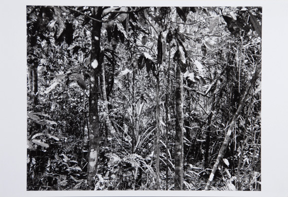 Thomas Struth, Mappe. Paradies