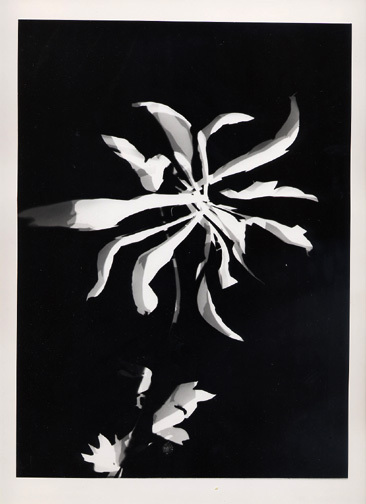 László Moholy-Nagy, 4 Blätter: Ohne Titel