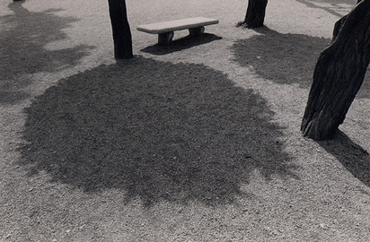 Park, Ancona, 1979
