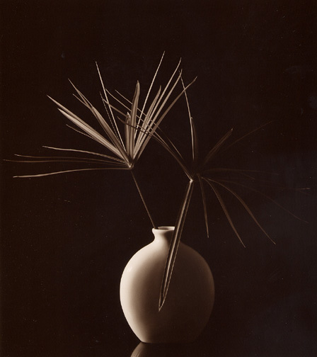 Hanns Schmid, Cyperiegras, 1983