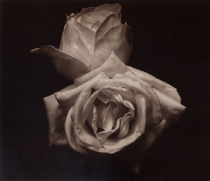La Fusion, 1982
