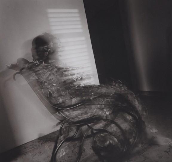 Joan Fontcuberta, Ohne Titel