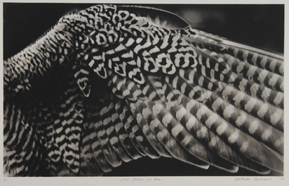Flügel, 1993
