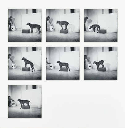 Before/On/After Permutations I
